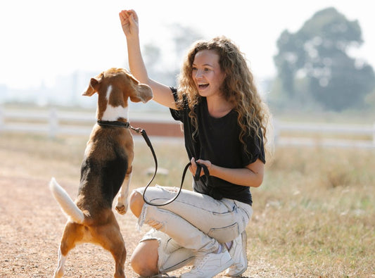 How to Train Your Puppy: Essential Commands Every Dog Should Know