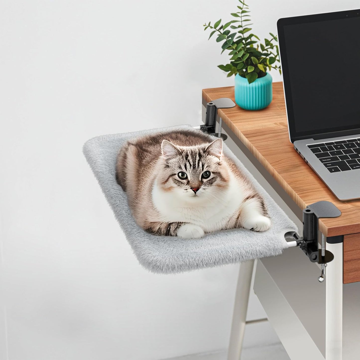 Cat Desk Bed